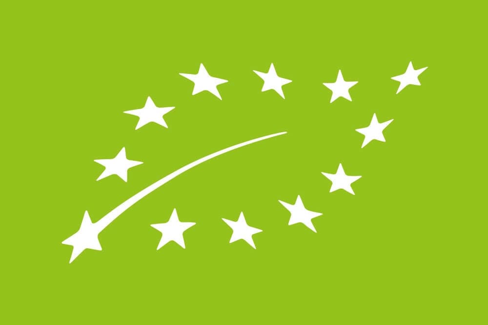 EU Icon